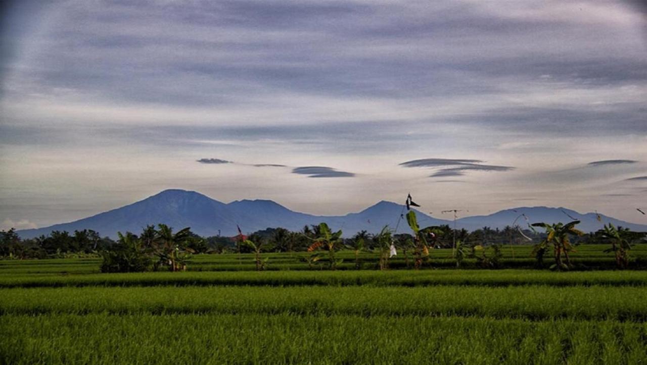 Pnb Bali Villas Canggu Dış mekan fotoğraf
