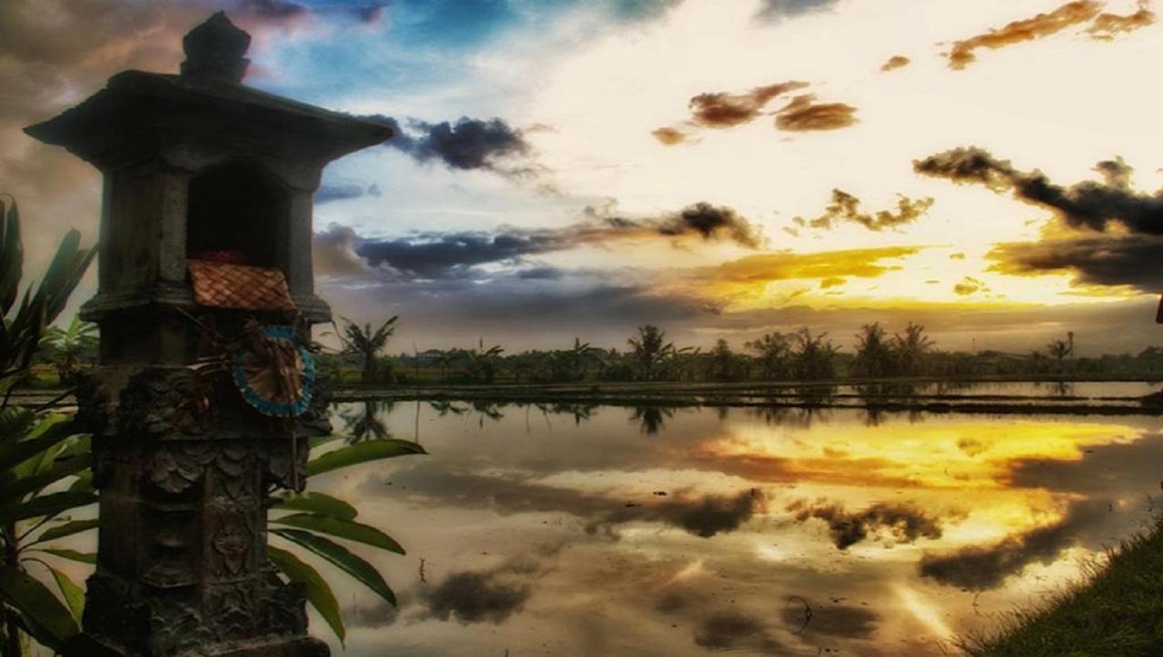 Pnb Bali Villas Canggu Dış mekan fotoğraf